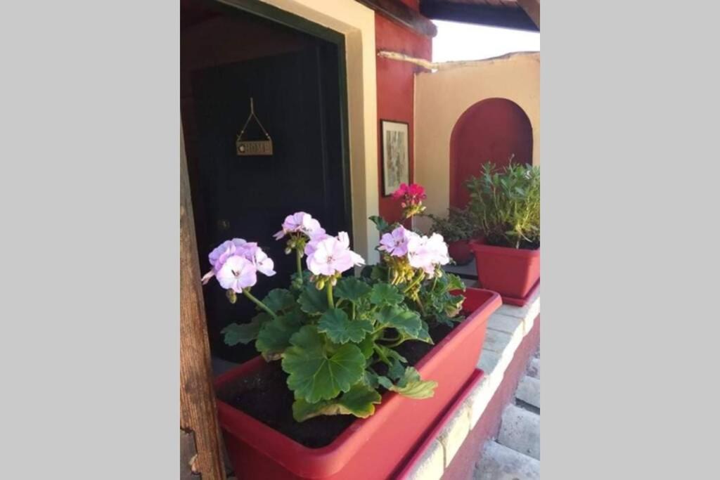 Green Hill Studio Corfu Town Eksteriør bilde